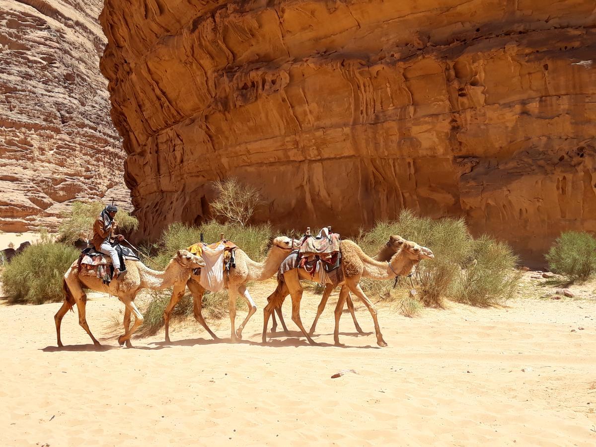 Martian Desert Camp Wadi Rum Luaran gambar